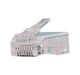 CAT6 RJ45 Modular Connectors, Unshielded, 100 Pack - 012-023/EZF-100 CAT6 RJ45 Modular Connectors, Unshielded, 100 Pack - 012-023/EZF-100